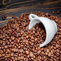 Кофе в зернах Astros Mexico Chiapas 100% арабика 250 гр