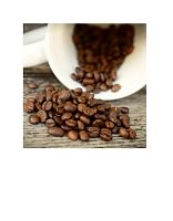 Кофе в зернах Lavazza Top Class (Топ Класс) 1 кг