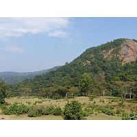 Кофе в зернах La Semeuse Ethiopie Suddi Organic 250 гр.