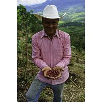 Кофе в зернах La Semeuse Colombie Planadas Organic 250 гр.