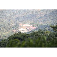 Кофе в зернах La Semeuse Salvador La Cumbre Limited 250 гр.
